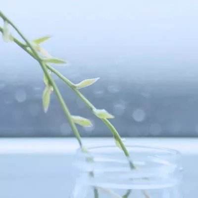 末日血战多游游戏下载
